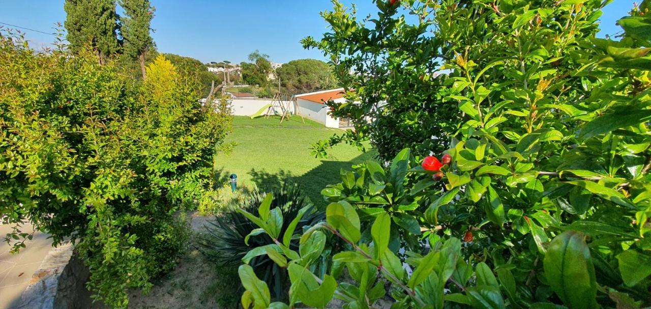 Villa Margarida By Laranjal Rentals البوفيرا المظهر الخارجي الصورة